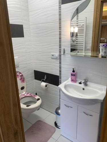 a white bathroom with a toilet and a sink at Květinové apartmány Horní Planá in Horní Planá