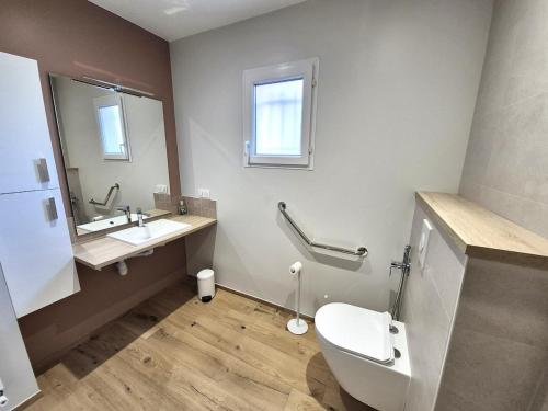 a bathroom with a toilet and a sink and a mirror at Le gîte de Midi for 6 pers - Quiet garden in Uzein