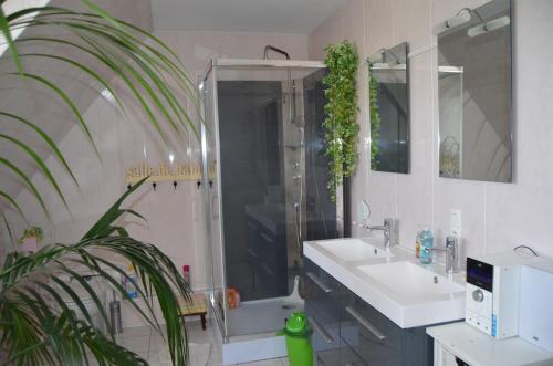 Photo de la galerie de l'établissement chambre d'hote avec jardin, à Allonnes