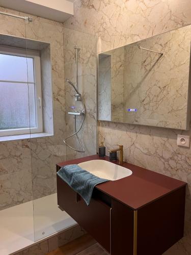 une salle de bain avec un lavabo et une douche dans l'établissement L'élegant Belfortain, à Belfort