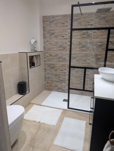 une salle de bain avec une douche avec des toilettes et un lavabo dans l'établissement Appartement Juan les pins, à Antibes