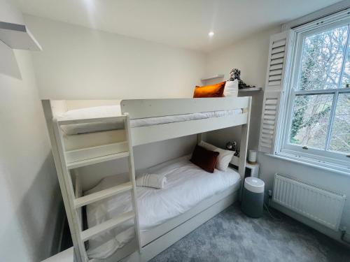 a bedroom with two bunk beds and a ladder at Stylish Brighton Haven, Sleeps 1 to 7, free parking in Brighton & Hove