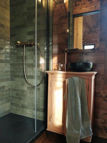 une salle de bain avec une douche avec un lavabo et un miroir dans l'établissement La Tiny House de La Rivière, à Sceaux-du-Gâtinais
