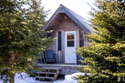 The Zzzz Moose Camping Cabins