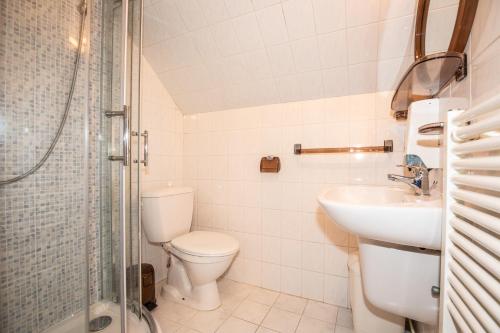 a bathroom with a toilet and a sink and a shower at Resort U Jelena in Křivoklát