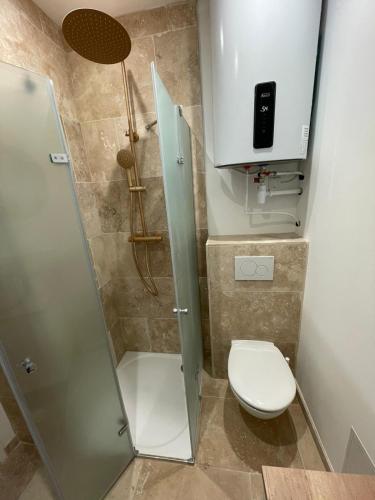 une petite salle de bain avec douche et toilettes dans l'établissement Spacieux studio - Vieil Antibes, à Antibes