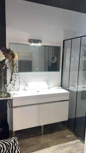 une salle de bain avec un lavabo blanc et un miroir dans l'établissement Les flots dorés, à Bergerac