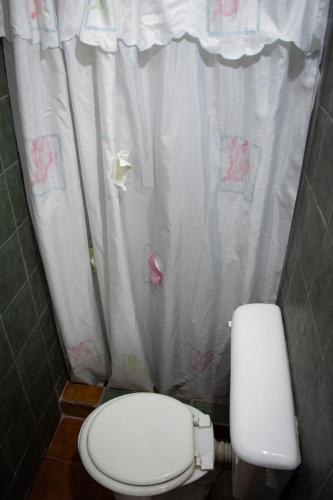 a bathroom with a toilet and a shower curtain at Tierra de Mariposas in Alta Gracia