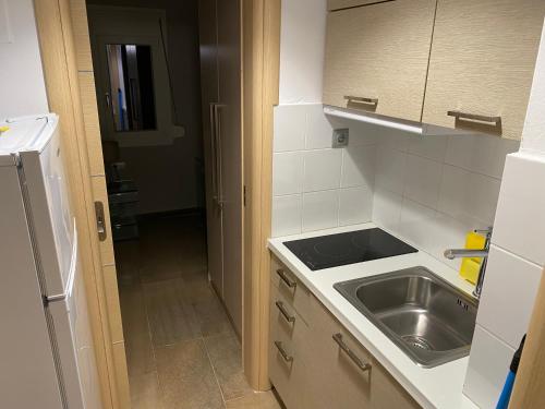 a kitchen with a sink and a stainless steel sink at Korelis Apartments in Ayia anna