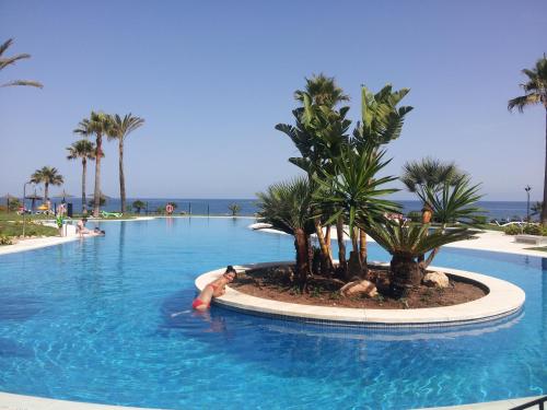 a person swimming in a large swimming pool with palm trees at Mi Capricho in Sitio de Calahonda