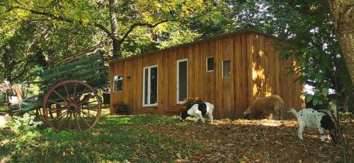a shed with a cow and a sheep standing next to it at La Petite Maison dans La Mégie Tiny House in Troche