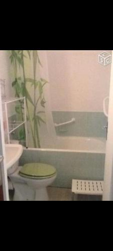 une salle de bain avec toilettes, baignoire et lavabo dans l'établissement Appartement situé plein sud avec balcon, à Bagnoles-de-l'Orne