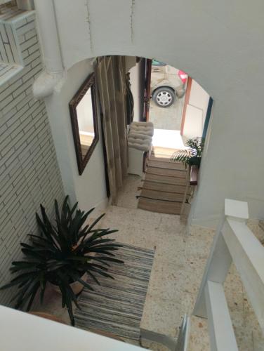 an overhead view of a living room with a plant at La casa de loto in Alcalá de los Gazules