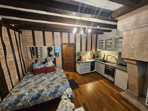 une grande cuisine avec un canapé et une cheminée dans l'établissement Petit havre de paix - quartier historique, à Tours