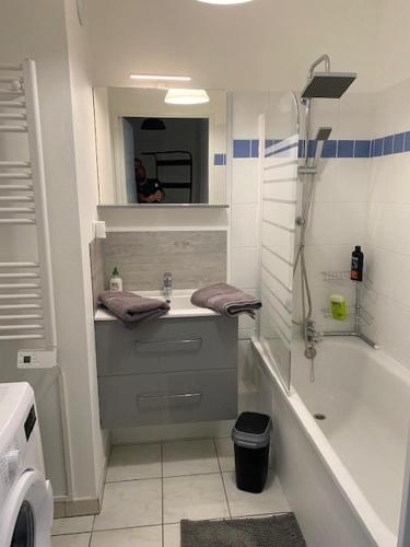 une salle de bain avec un lavabo, une douche et un miroir dans l'établissement Gîte la Broceliande, à Blois