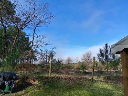 Photo de la galerie de l'établissement MH 558 SPACIOSA 2 chambres ET 1 salle de bain 45m2 2 terrasses avec vue sur foret dans camping 4étoiles, à Saint-Julien-en-Born