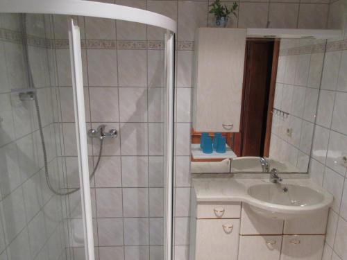 uma casa de banho com um chuveiro e um lavatório. em Ferienhaus Schulze em Schierke