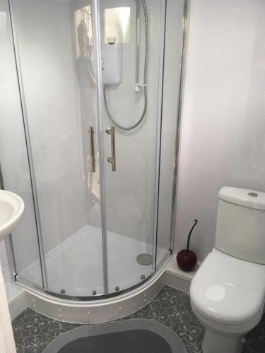 a bathroom with a shower and a toilet at Log cabin studio in Paignton in Paignton
