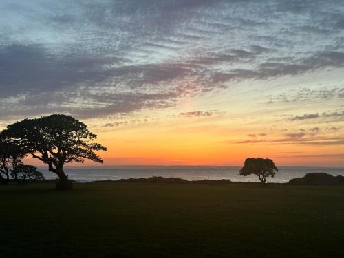 two trees in a field with a sunset in the background at まるまる一棟貸しのプライベート空間-バナナハウスホテル-駐車場付き in Akaren
