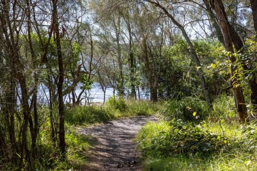 a dirt trail through a forest next to a body of water at Serendipity Stays Jervis Bay - 5 Mins Walk to Beach in Sanctuary Point