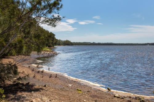 a group of birds on the shore of a lake at Serendipity Stays Jervis Bay - 5 Mins Walk to Beach in Sanctuary Point