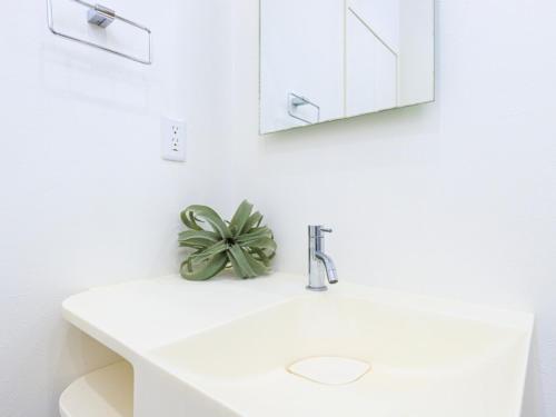 Skytree 13 minute drive Exclusive whole home stay