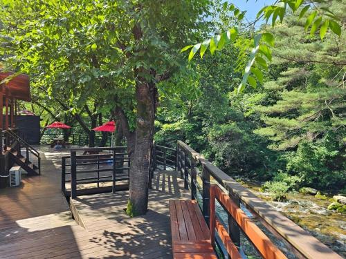 Κήπος έξω από το Jecheon Areumdaun Sesang Pension