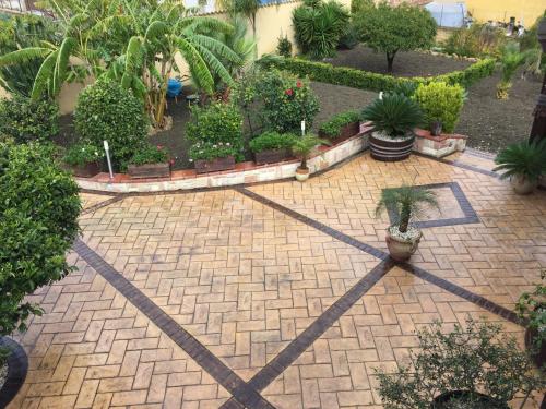 a courtyard with a bunch of plants and trees at B&B Templi e Arte in Villaggio Mosè