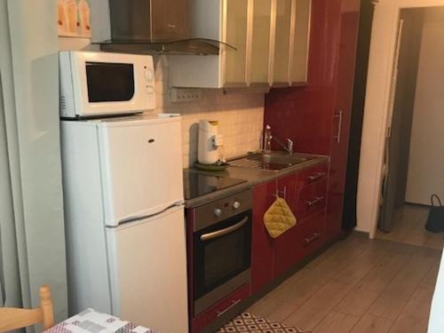 La cuisine est équipée d'un réfrigérateur blanc et d'un four micro-ondes. dans l'établissement Studio avec parking privé à 500m de la plage - FR-1-338-603, à Sète
