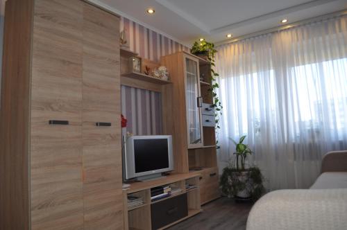 sala de estar con TV en una pared de madera en LD apartamenti, en Ventspils