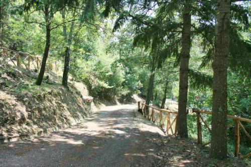 a dirt road with trees and a wooden fence at La Rogaia in Viciomaggio