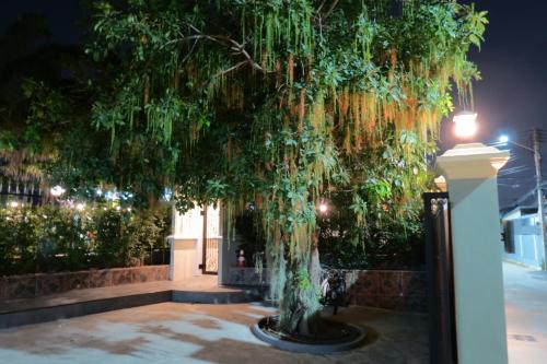 a large tree in a courtyard at night at Baan Bee Residence in Nong Prue