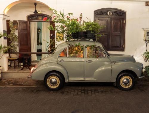 an old green car with plants on the top at Prince of Galle (inside the Fort) in Galle