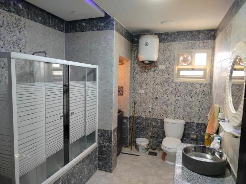a bathroom with a shower and a toilet and a sink at اسوان ـ خلف مول بلازا ـ بجوار فرست مول in Aswān