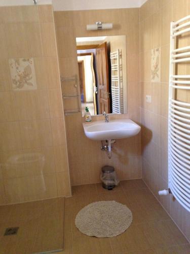 a bathroom with a sink and a mirror at Prémium Vendégház in Zalaszentmihály