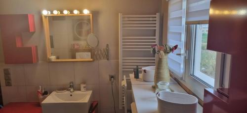 une salle de bain avec un lavabo et un miroir dans l'établissement Maison avec jardin à 1km de la plage du Val-André, à Pléneuf-Val-André