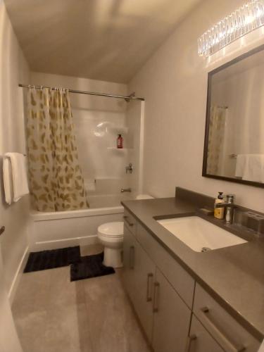 a bathroom with a toilet and a sink and a shower at Atare Suite in Saskatoon