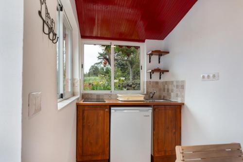 a kitchen with a sink and a window at La Vega Rural in Garachico