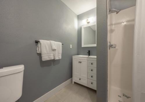 a bathroom with a toilet and a sink and a mirror at Wind View in Mosier