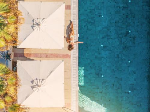 an overhead view of a dog sitting on the edge of a pool at Grecotel Plaza Beach House in Rethymno Town