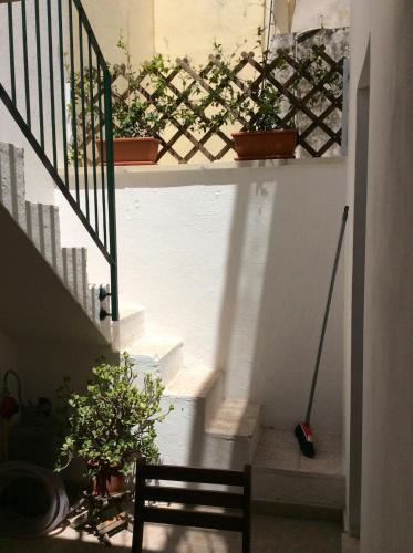 a stairway with potted plants and a railing at Casa Anacleto in Cerfignano