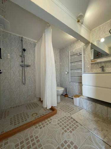 une salle de bain avec douche et toilettes dans l'établissement les gîtes de la fabrique, à Villeneuve-de-Duras