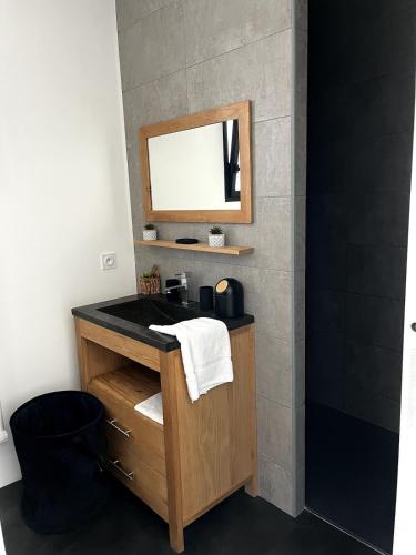 une salle de bain avec un lavabo et un miroir dans l'établissement Villa CARPE DIEM - Bretignolles sur Mer, à Bretignolles-sur-Mer