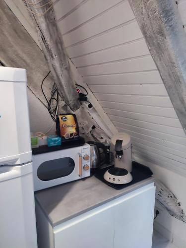 un micro-ondes posé sur un réfrigérateur dans l'établissement duplex aux portes de Strasbourg tram 100m, à Schiltigheim