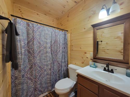 a bathroom with a toilet and a sink at Skyline Chalet in Rogers