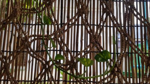 a close up of a net with a plant at Bloom Garden Bed & Breakfast in Siem Reap