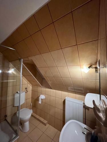 a bathroom with a toilet and a sink and a shower at Gyógygödör Vendégház in Szekszárd