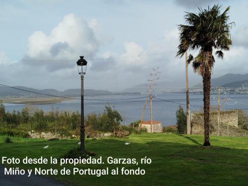 a street light next to a palm tree and a body of water at La de Simón in A Guarda
