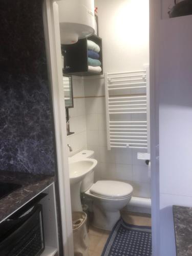 une petite salle de bain avec toilettes et lavabo dans l'établissement Charmant studio près de Bercy, à Paris