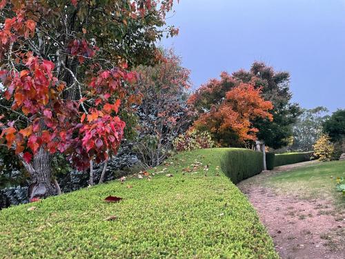 Zahrada ubytování Wyndbourne Park